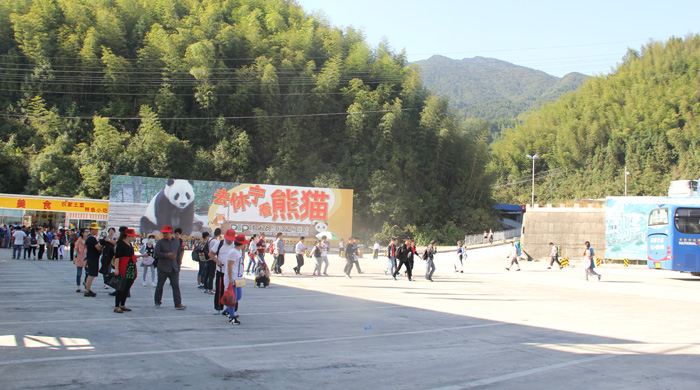 黃山風(fēng)景區(qū)廣告牌